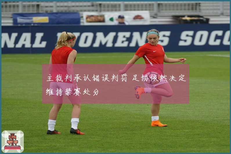 主裁判承认错误判罚 足协依然决定维持禁赛处分